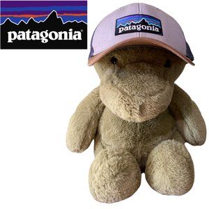 Patagonia P-6 Logo Truckers Hat
